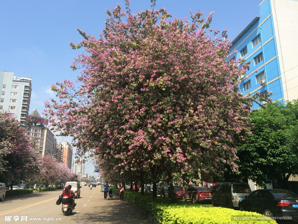 柳州市风光