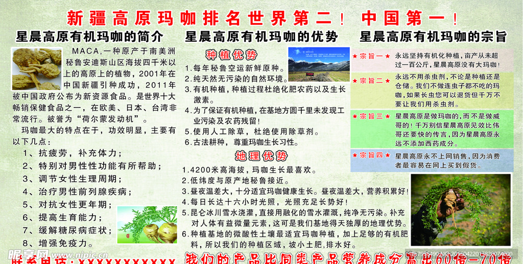 玛咖