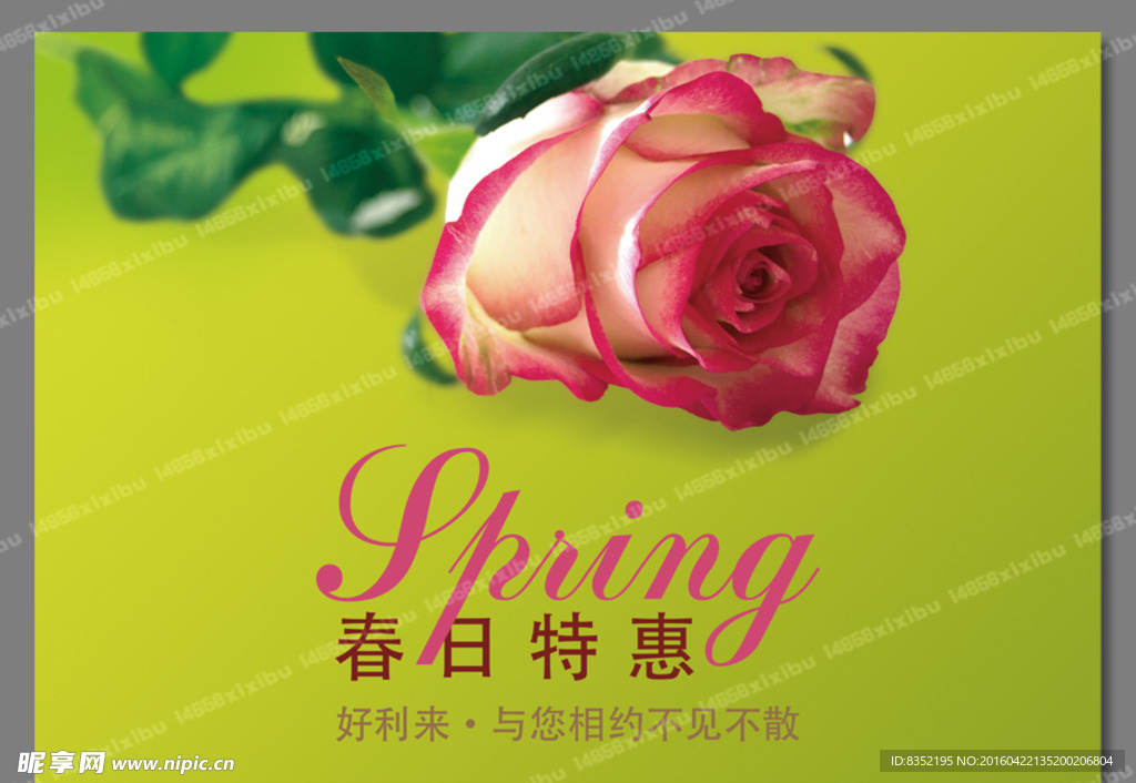 玫瑰花束 与您相约 春日特惠