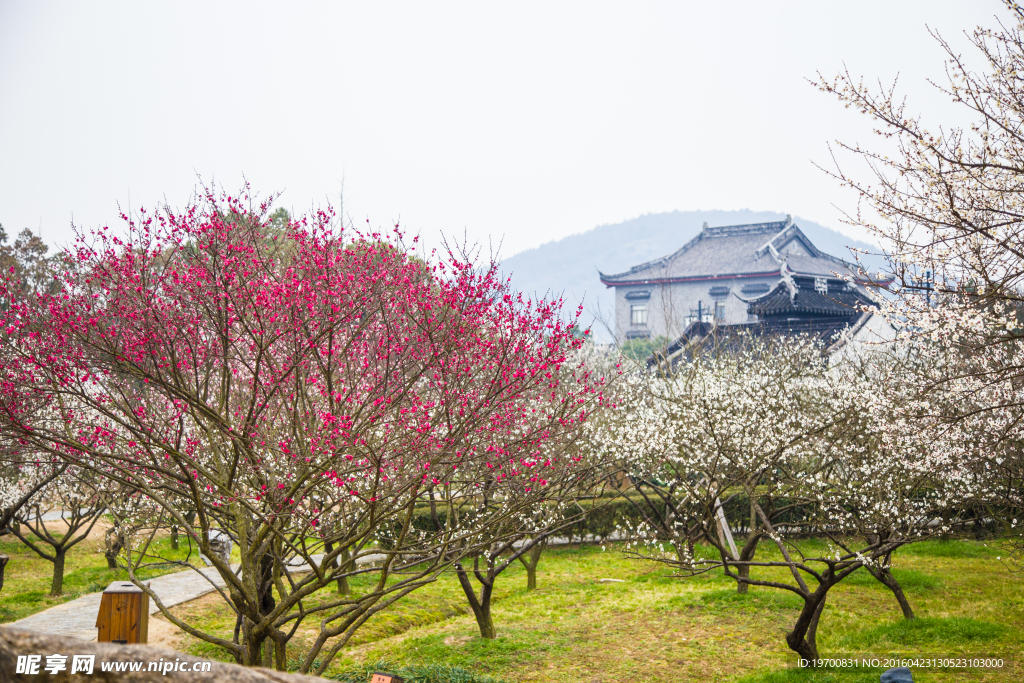 园林风景