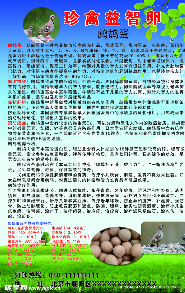 绿色海报