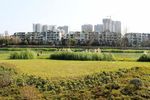 城市风光