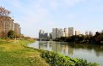 城市河流