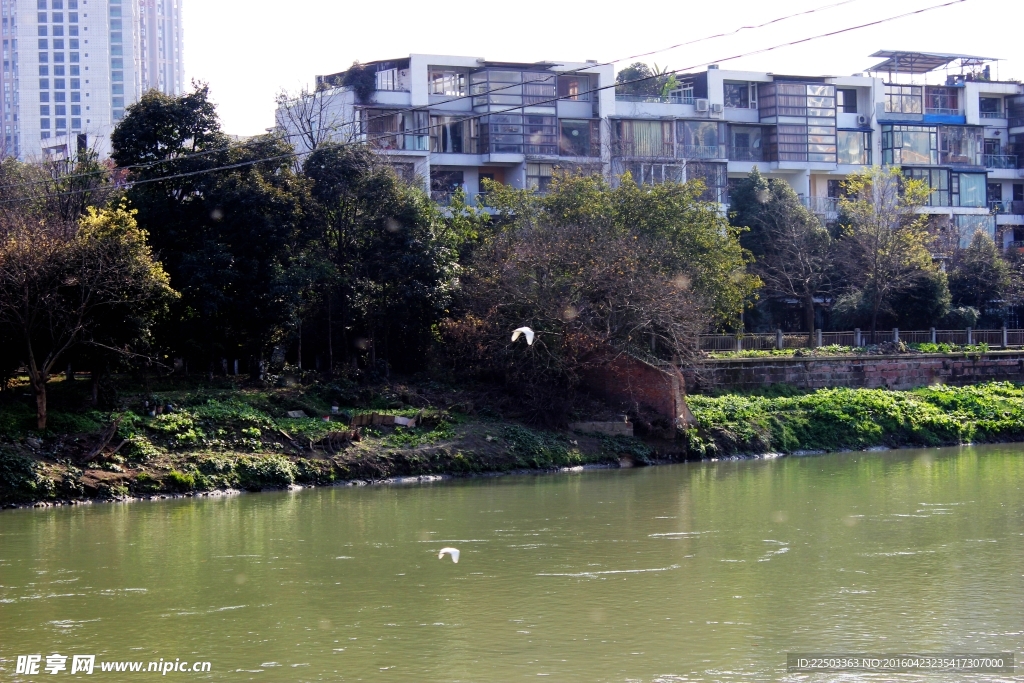 城市河流