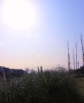 城市风光