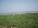 无锡太湖风景
