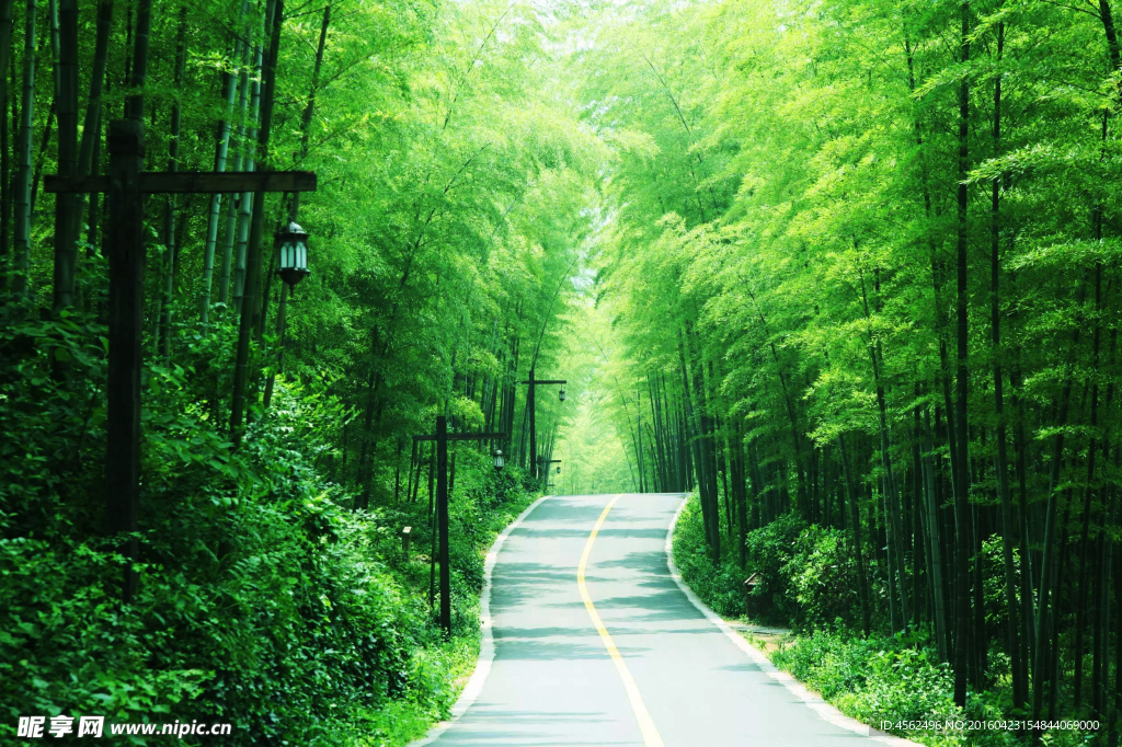 林荫大道