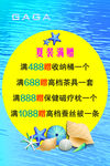 活动 贝壳 海水