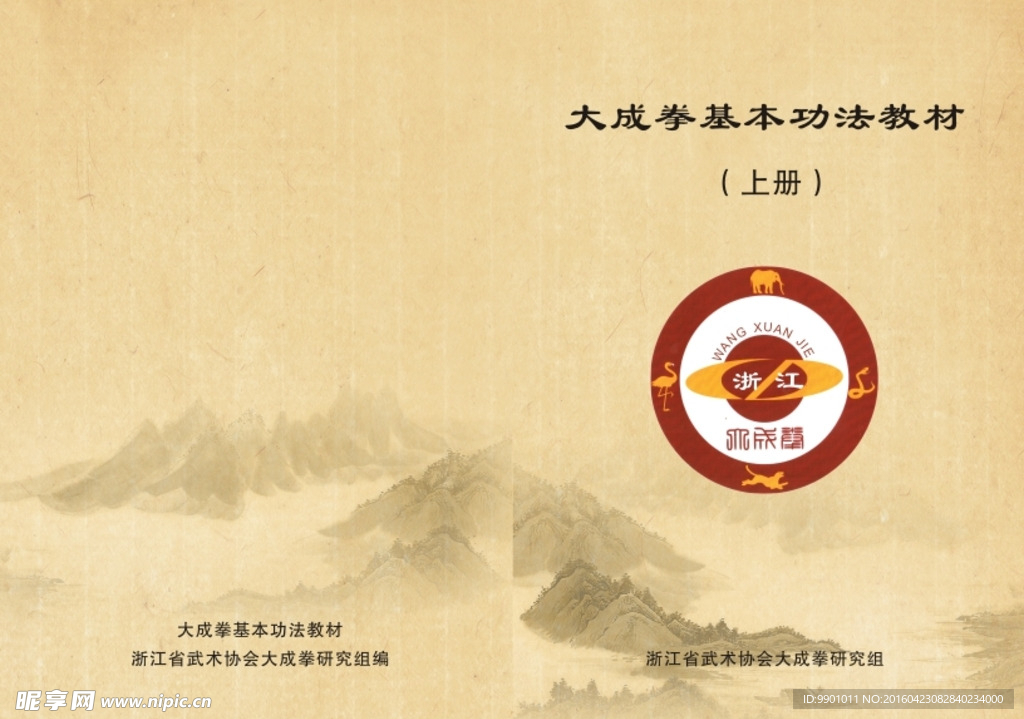 大成拳封面