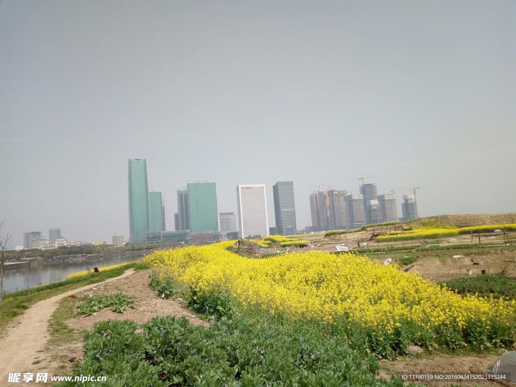 江边风景