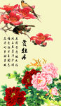 赏牡丹