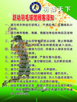 体育运动