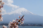 富士山