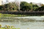 城市河流