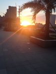 夕阳