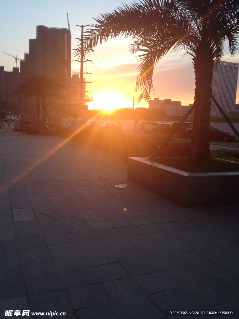夕阳