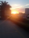 夕阳