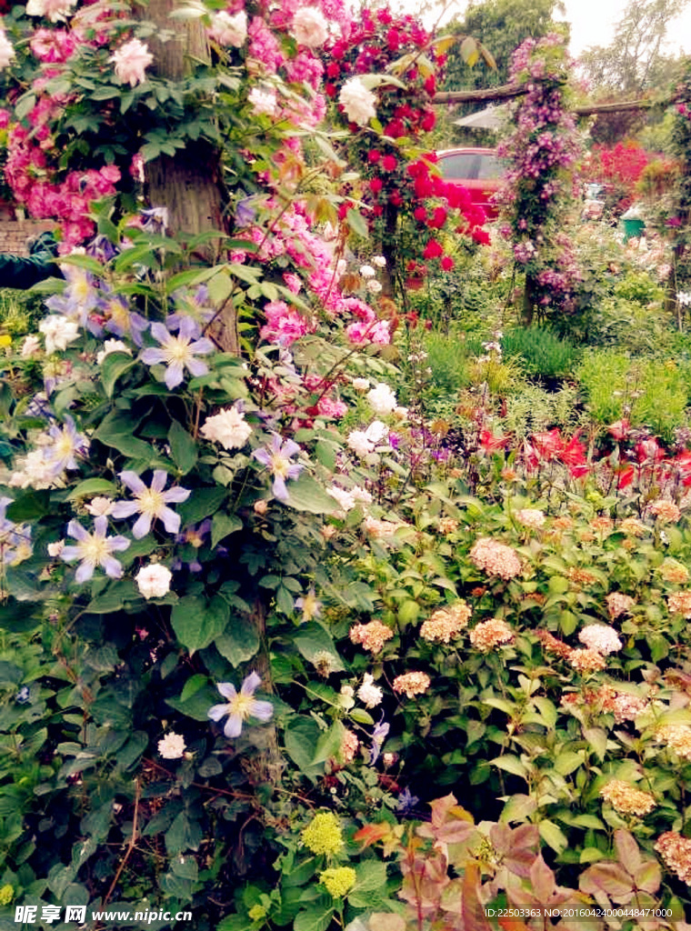 花园