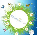 花纹边框