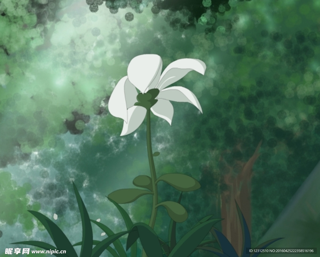 开花动画