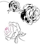 精美花朵 矢量素材