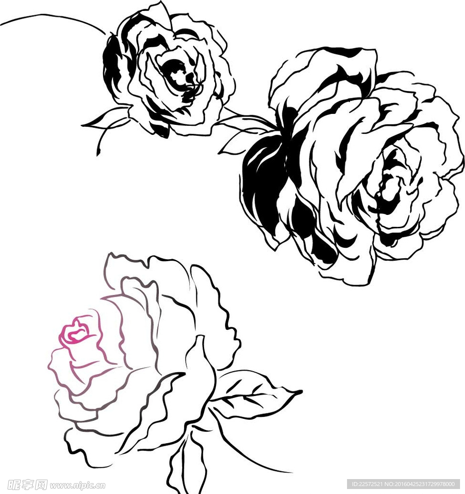 精美花朵 矢量素材