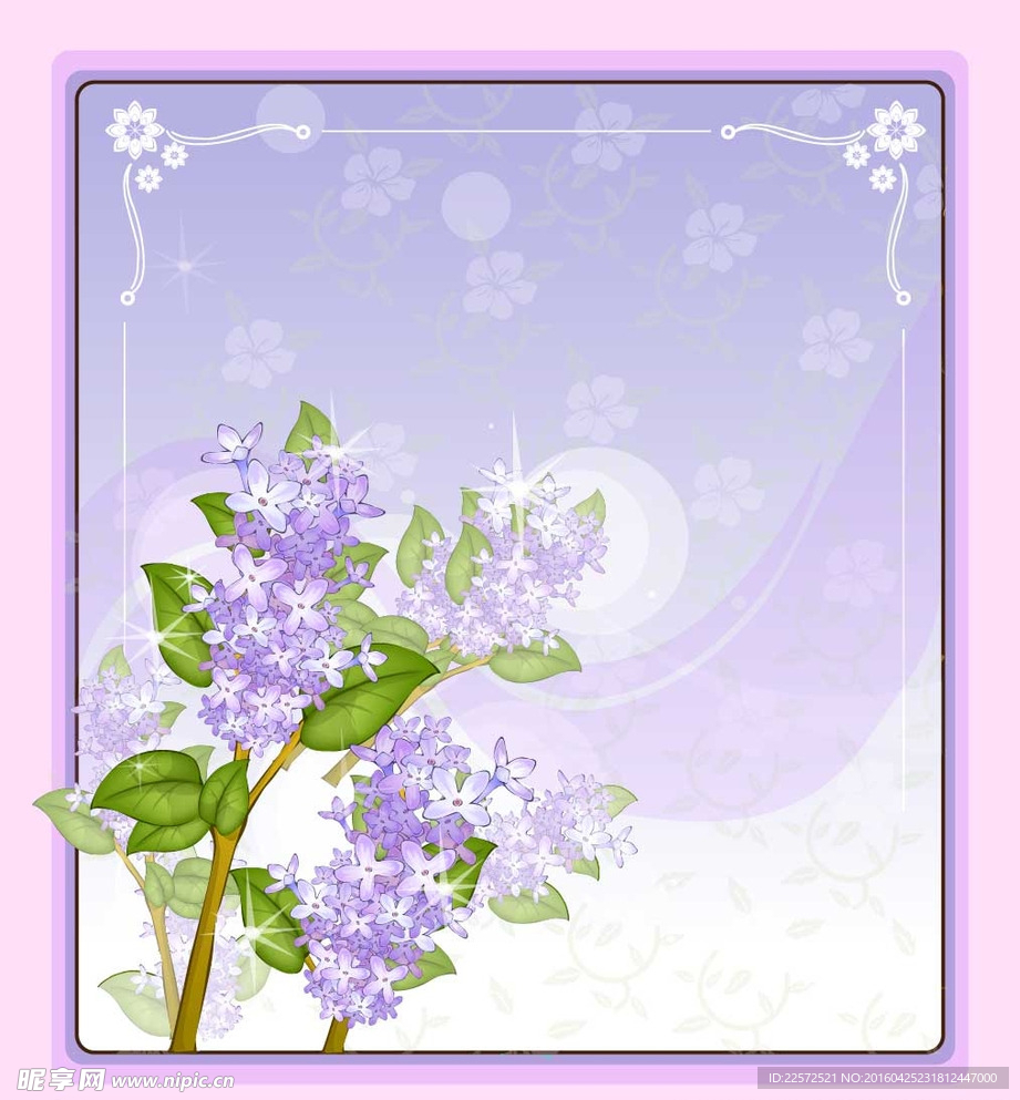 精美花朵