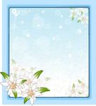 精美花朵