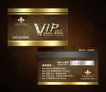 高档VIP名片 商务名片模板
