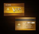 高档VIP名片 商务名片模板