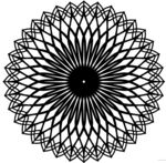 花纹