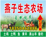 燕子生态农场