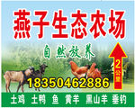 燕子生态农场