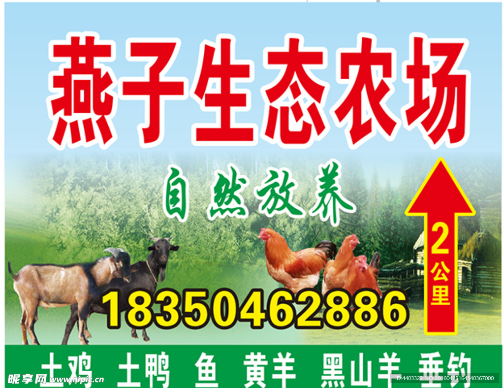 燕子生态农场