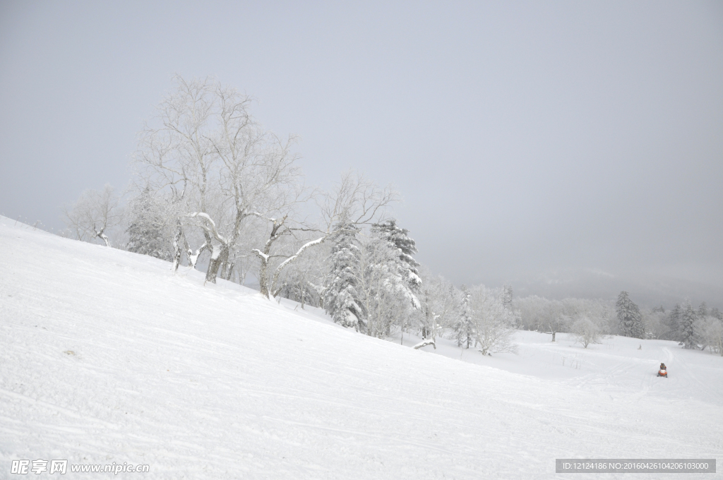 雪景