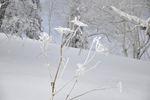 雪地