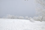 雪景