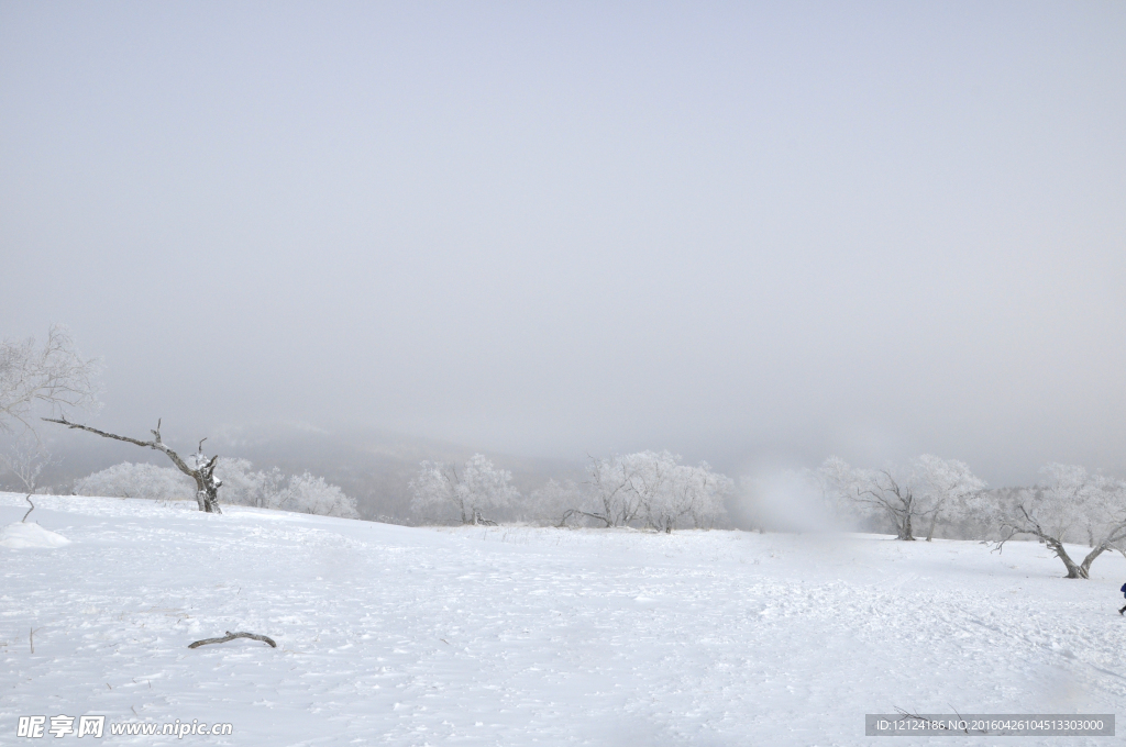 雪景 雪地