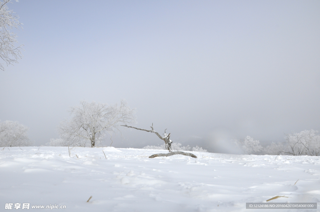 雪景