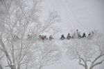 雪地