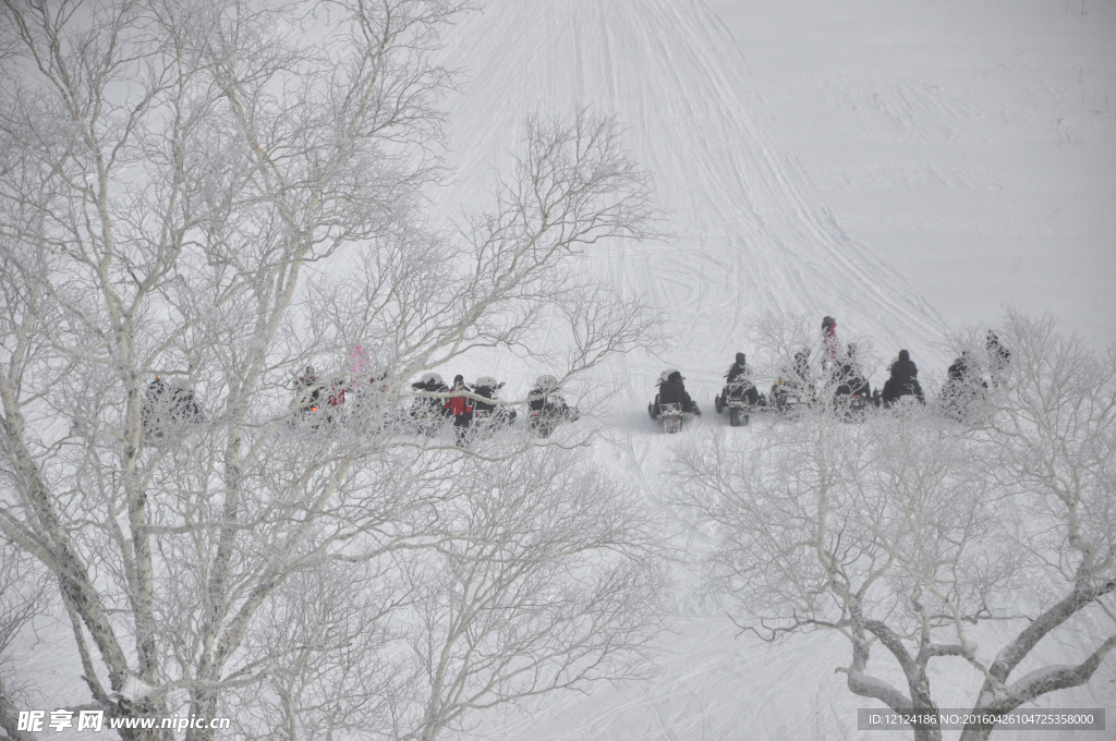 雪地