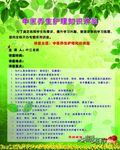 养生知识设计海报  中医