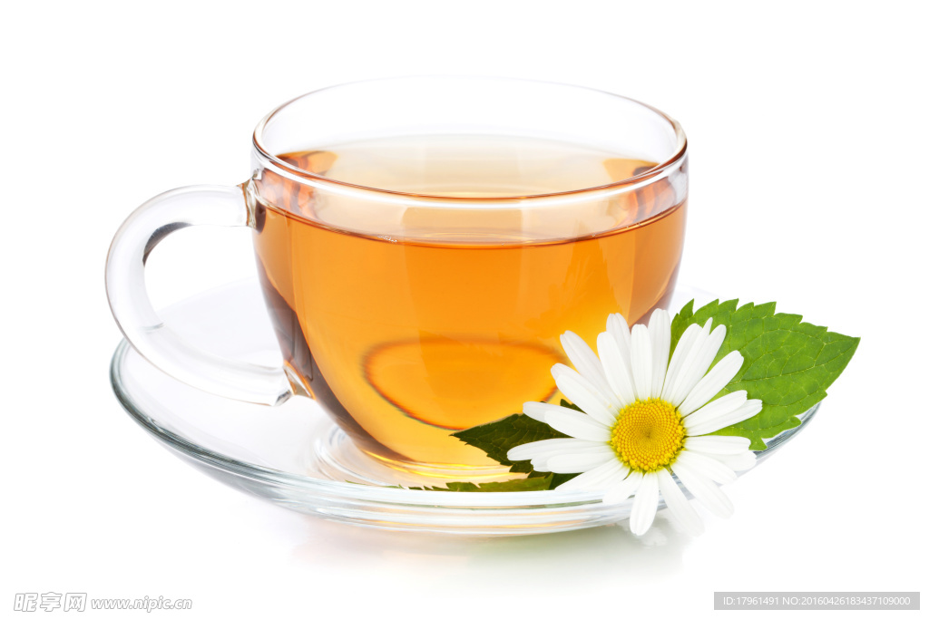 菊花茶