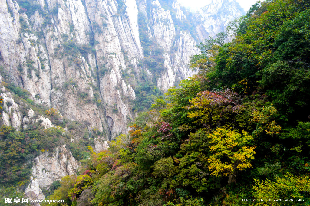 崇山