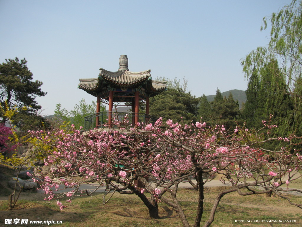 植物园美景