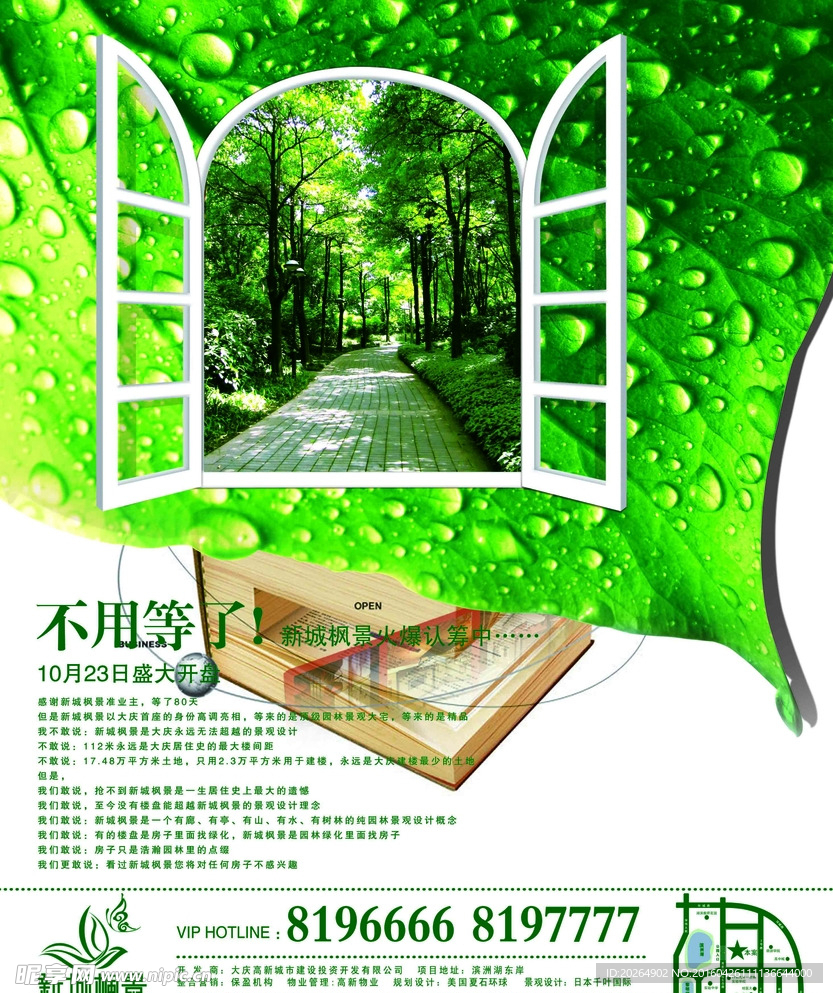 绿叶窗户