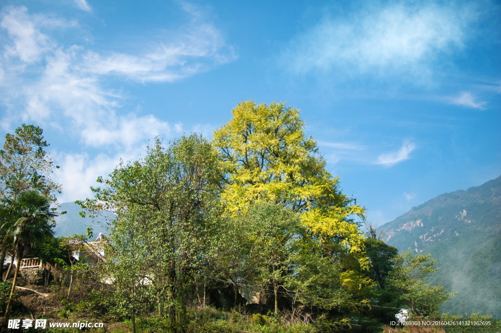 山村 乡村 风光