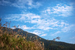 山村 乡村 风光