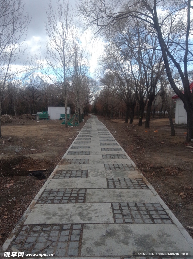 路