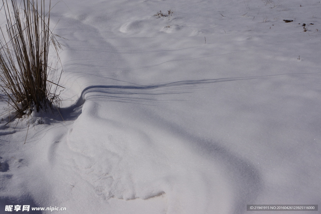 贺兰山雪